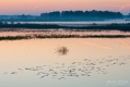 004_Biebrza - kwiecien 2012